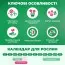 Ірис Hollandica Bronze Perfection фото