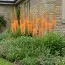 Еремурус Cleopatra Orange фото