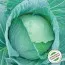 Капуста білоголова Респект F1, 0,25 кг (Satimex) фото