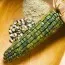 Кукурудза Цукрова Зелений фургон гігант пакет фото
