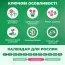 Лілія Red Life фото