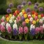 Мікс Blooming Layers фото