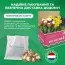 Нарцис Woodland Star фото