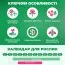 Ранункулюс (лютик) Picotee Pink фото
