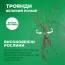Троянда Alexandra - Princesse de Luxembourg фото