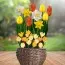 Набір квіткової лазаньї Sunny Bloom фото