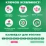 Тюльпан Bastia  фото