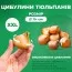 Тюльпан Involve (Інволв) фото