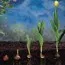 Тюльпан Hollywood фото