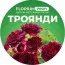 Добриво для троянд (Florium Profi універсальне) 4м. 700г фото
