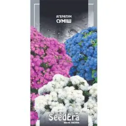 Агератум Суміш фото