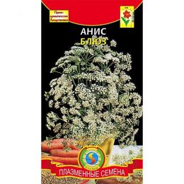 Аніс Блюз фото