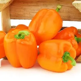 Перець Апельсинова Турецька Долма фото