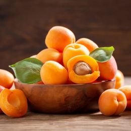 Абрикос ранній Вондер Кот фото