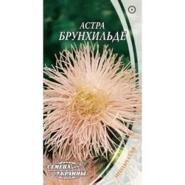 Айстра Брунхільде фото