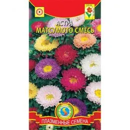 Айстра Матсумото суміш фото