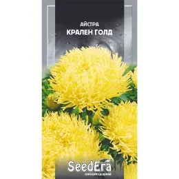 Айстра високоросла Крален Голд фото