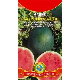 Кавун Цукровий малюк фото