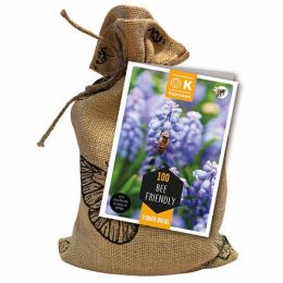 Комплект цибулин Bee Friendly (Брендові цибулини KAPITEYN®) фото