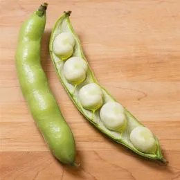 Боби Врома фото