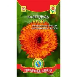 Календула Неон фото