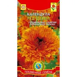 Календула Ред девіл фото