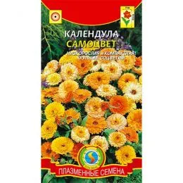 Календула Самоцвіт фото