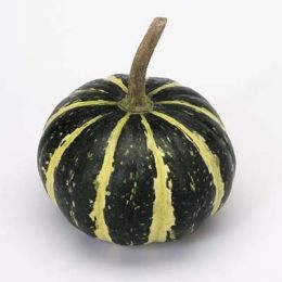 Гарбуз Flat Striped фото