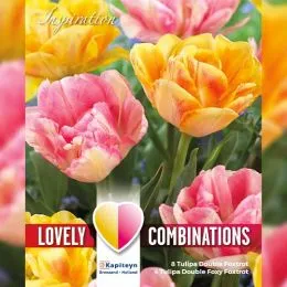 Комбо Тюльпани Double Orange & Pink (Брендові цибулини KAPITEYN®) фото
