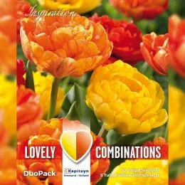 Комбо Тюльпани Duopack Double Yellow and Orange (Брендові цибулини KAPITEYN®) фото