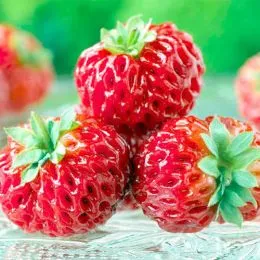 Малино-полуниця Framberry (Унікальні плоди) фото