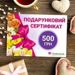 500 грн - подарунковий сертифікат  фото