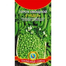 Горох 6 тижнів фото