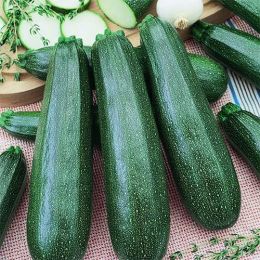 Кабачок Скворушка 10г фото