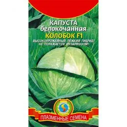 Капуста Білокачанна Колобок F1 фото