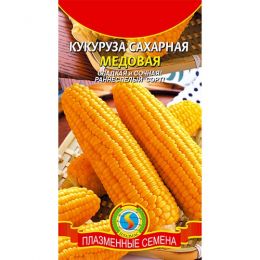 Кукурудза Медова фото
