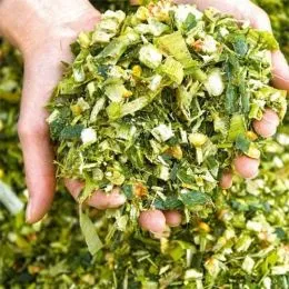 Кукурудза на силос фото