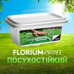 Газон Florium Profi Посухостійкий 1кг фото