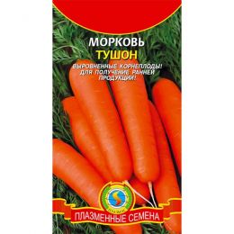 Морква Тушон фото