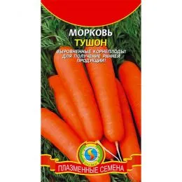 Морква Тушон фото