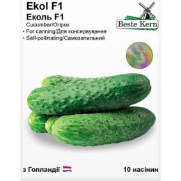 Огірок Еколь F1, ТМ Beste Kern фото
