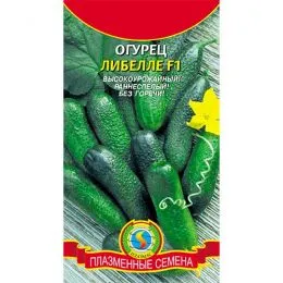 Огірок Лібелле F1 фото
