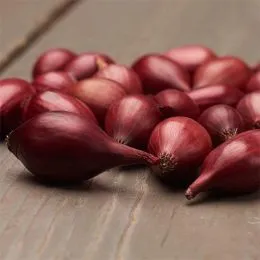 Цибуля Red Kamal фото