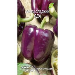 Перець солодкий Ода фото