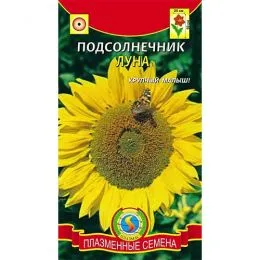Соняшник Луна фото