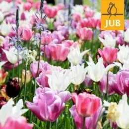 Мікс ландшафтний Pure and Pastel (Брендові цибулини Jub Holland) фото