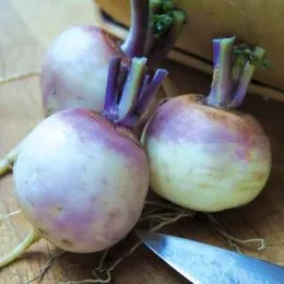 Бруква Purple Top White Globe фото
