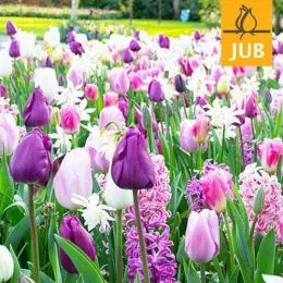 Мікс ландшафтний Purplish (Брендові цибулини Jub Holland) фото
