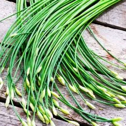 Цибуля Шива фото