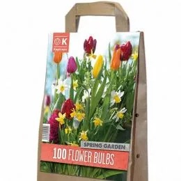 Комплект цибулин Spring Garden (Брендові цибулини KAPITEYN®) фото